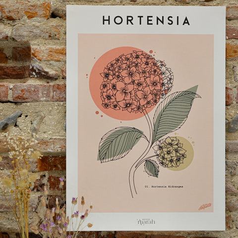 Affiche décorative format A2 fleurs hortensia maison marah